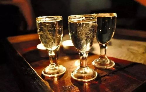 金樽黑酒 與講究者共飲，一場流動的儀式