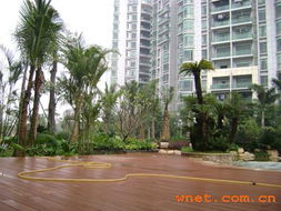 深圳市巴比倫環(huán)境園林藝術 園林景觀建設工程與產(chǎn)品展廳的工程管理實踐