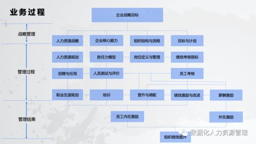 數據產品在人力資源管理的實踐與思考 一、在線數據處理與交易處理業務